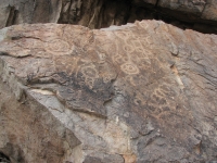 Petroglyphs in King Canyon